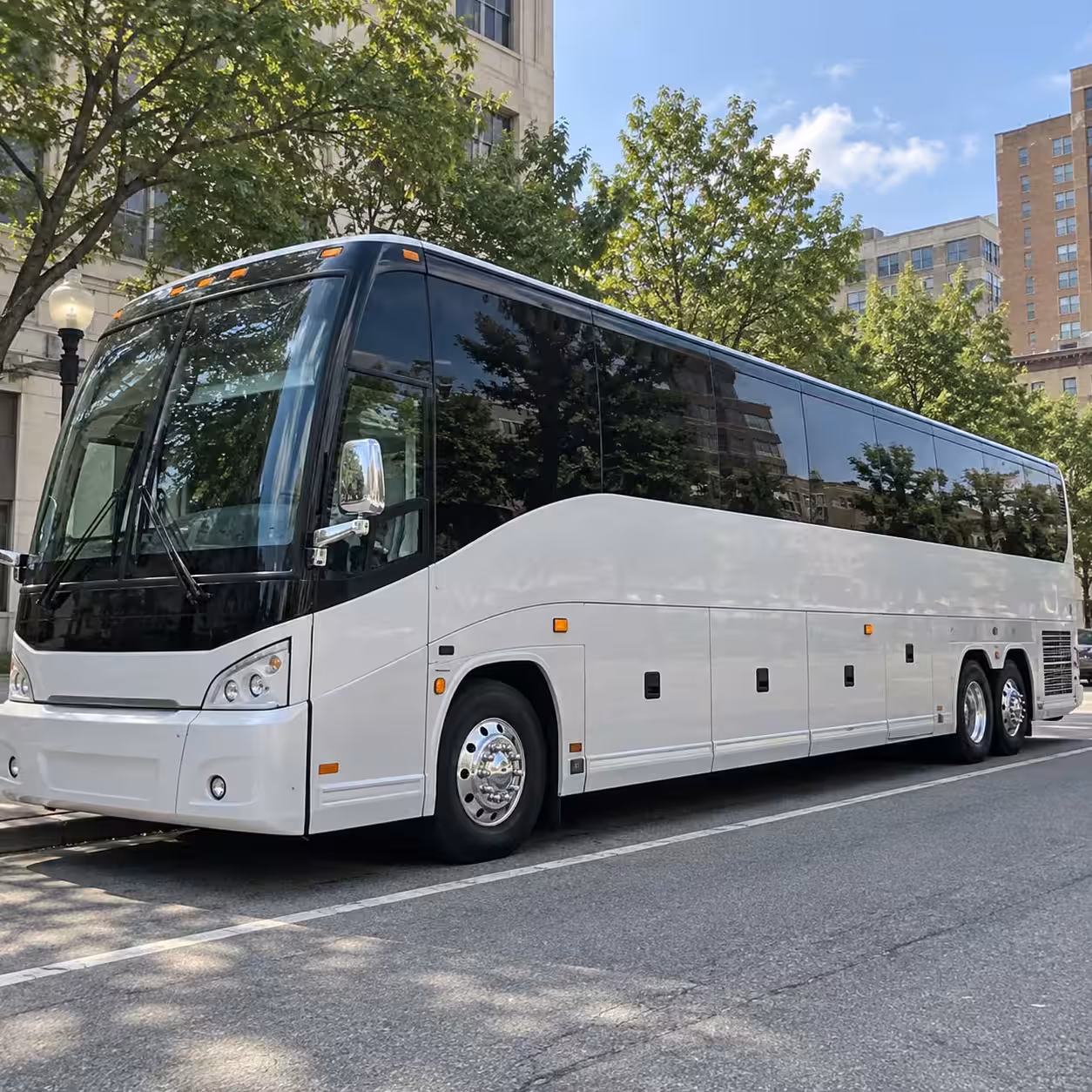 56 passenger charter bus