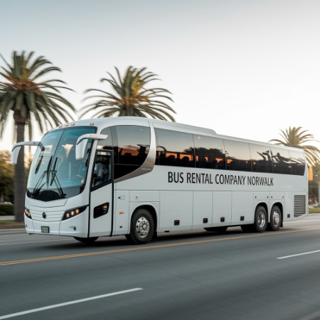 56 passenger motorcoach